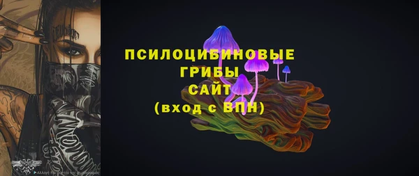 амф Алексин