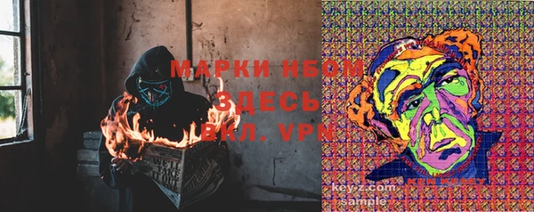 сатива Алексеевка