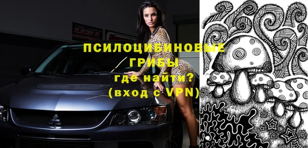 сатива Алексеевка