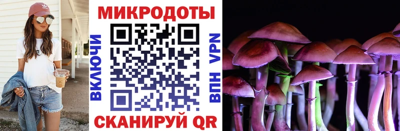 Псилоцибиновые грибы GOLDEN TEACHER Карабаш